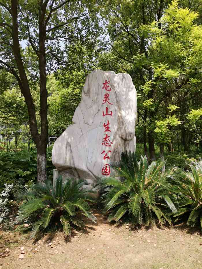 龙灵山生态公园-"地址:在蔡甸区沌口我们去的那一天,.