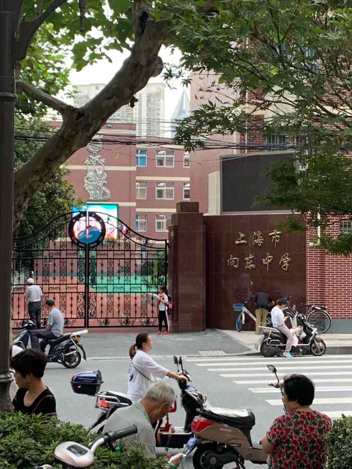 向东中学-"在大悦城附近的学校,感觉环境好得不要不要