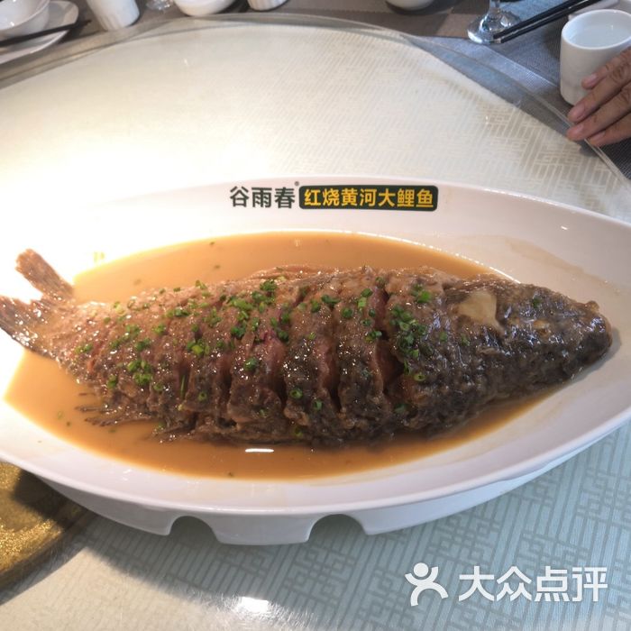 谷雨春红烧黄河大鲤鱼