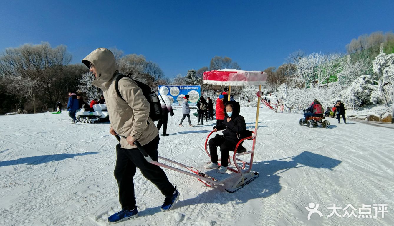 跑马岭齐鲁雪乡,亲子游玩好去处