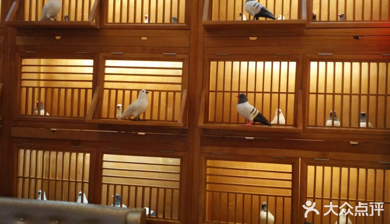 孙大厨鸽子馆石家庄12家分店,每一家服务都是一样的棒
