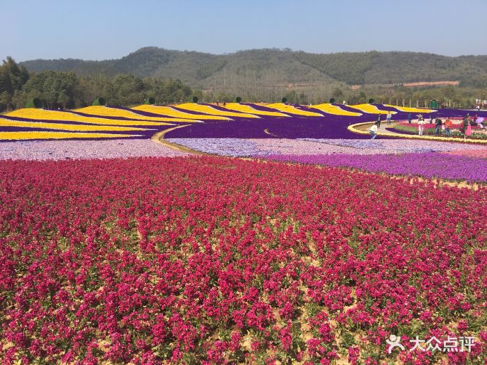 花谷奇缘旅游度假区图片