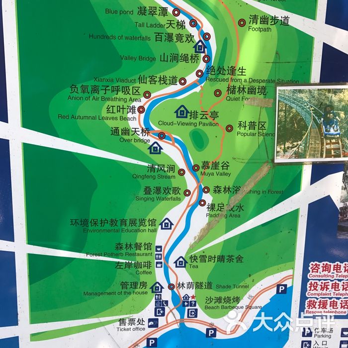 千岛湖森林氧吧