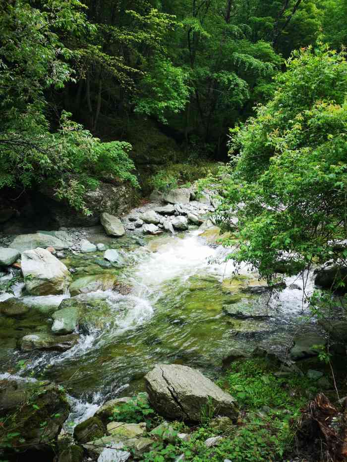 广元唐家河风景区-"唐家河自驾游两个人和一条狗,说走