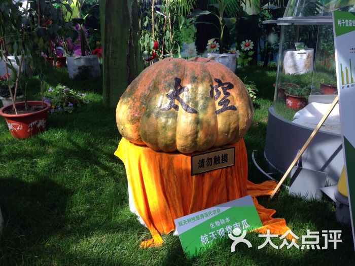 第四届北京农业嘉年华(北京昌平草莓博览园)-图