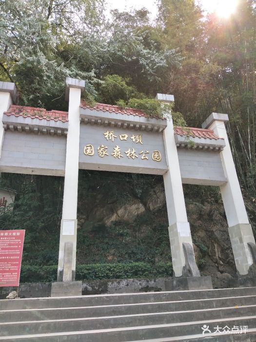 桥口坝国家森林公园图片 - 第6张