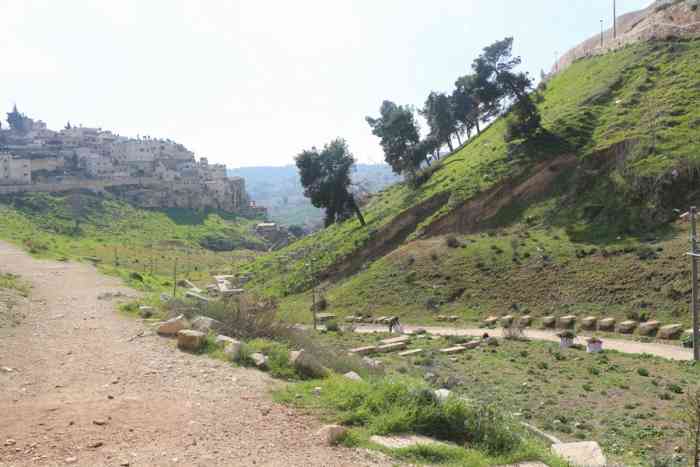 汲沦谷-"汲沦谷kidron valley 在圣殿."-大众点评