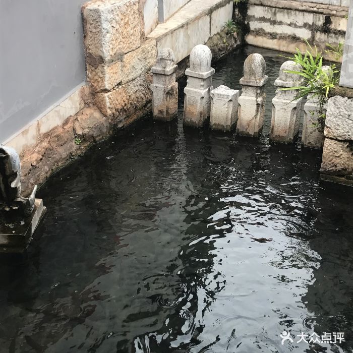 神鱼泉图片 - 第9张