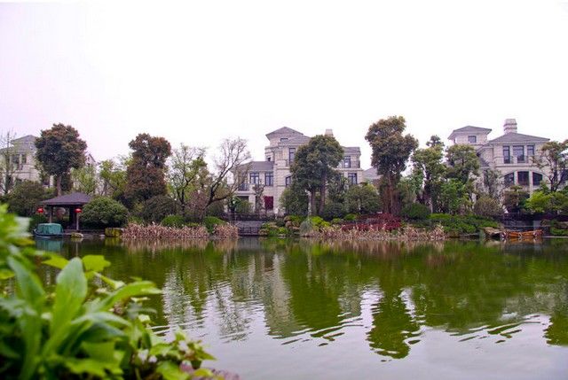 老人生日宴布置及流程-大众点评结婚频道