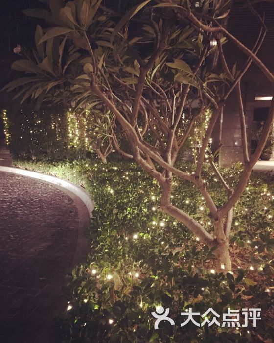 为办美签选择住在这里。单单标准间活动余地