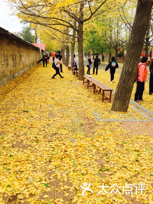 太阳沟景区-图片-大连周边游-大众点评网