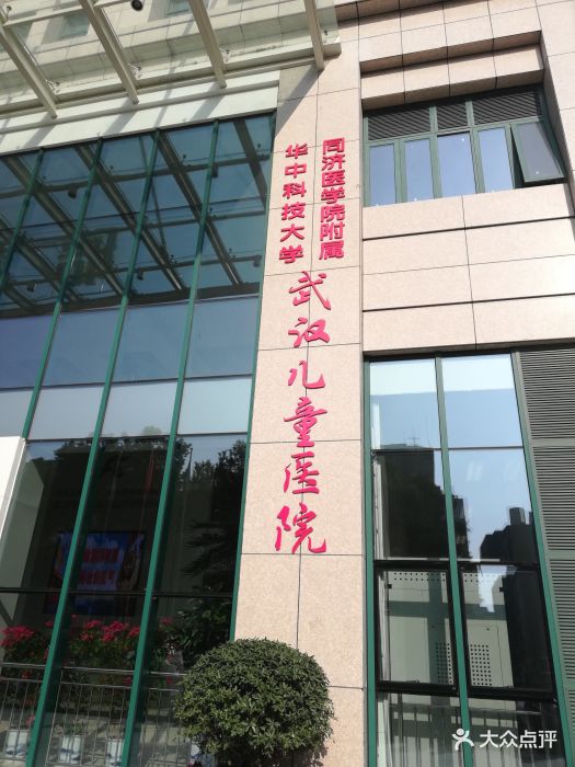武汉市儿童医院图片 第4张