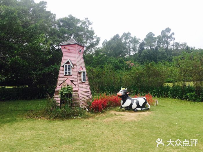 南沙蒲洲花园图片