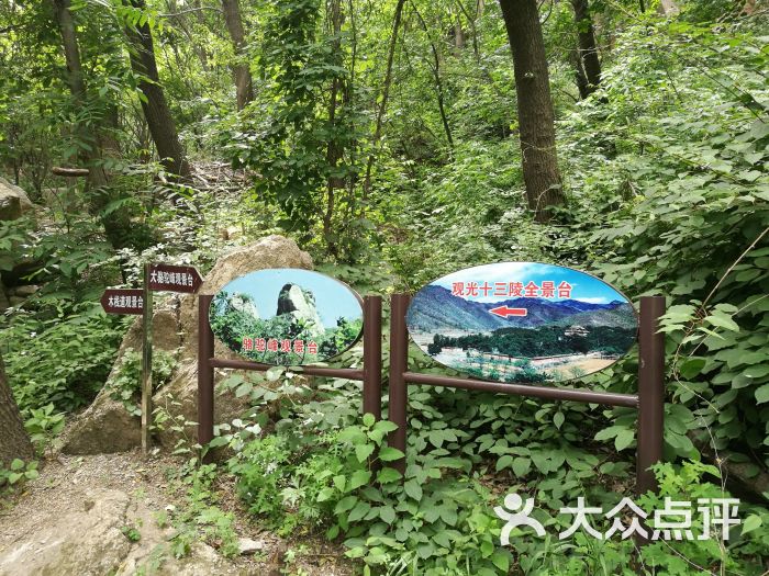 大岭沟猕猴桃谷风景区图片 - 第12张