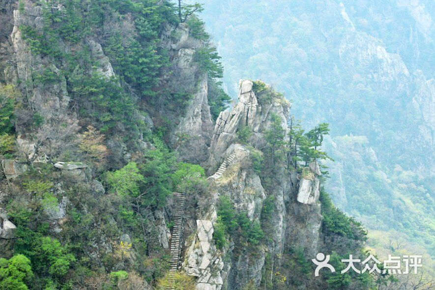 老界岭旅游度假风景区-图片-西峡县周边游-大众点评网