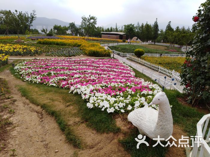 董家沟植物园-图片-大连周边游-大众点评网