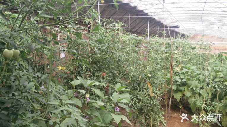 【奥一农场】电话_地址_价格_营业时间_昌平