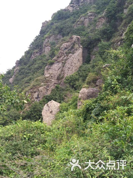 阳台山自然风景区图片 - 第8张