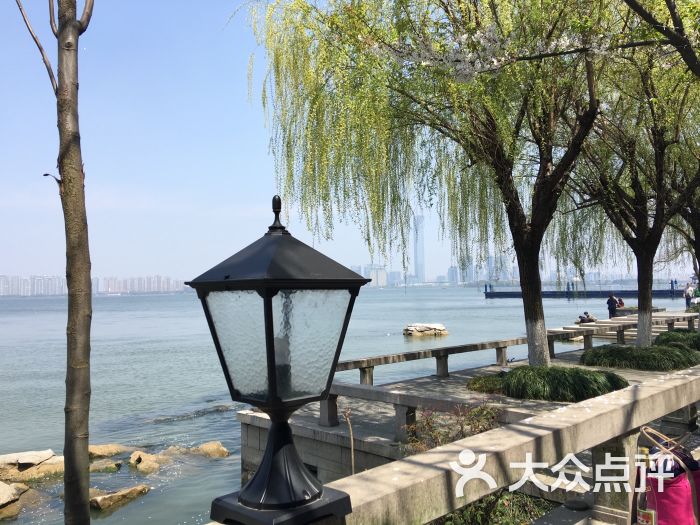 洋洋中餐馆(李公堤店-图片-苏州美食-大众点评网