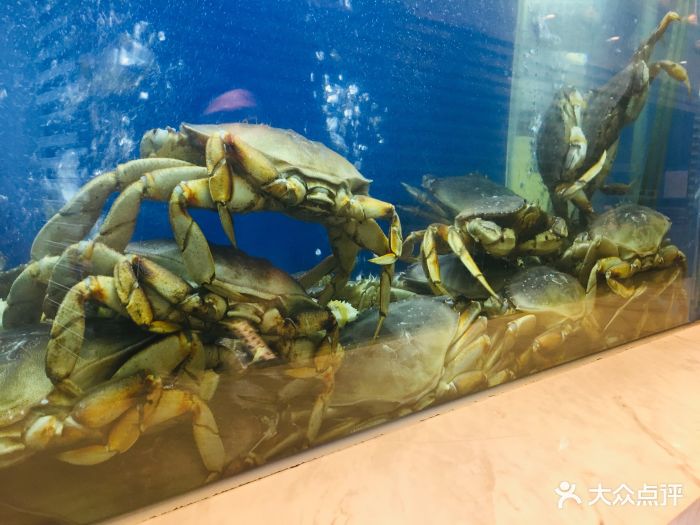 珍宝海鲜jumbo seafood(环贸iapm商场店)门面图片 - 第3672张