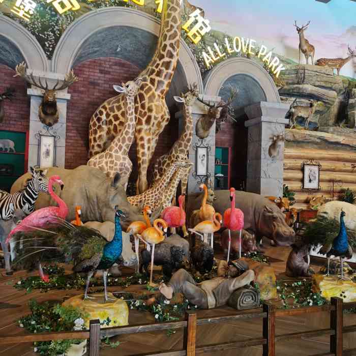 泉城欧乐堡动物王国-"种草了n久的欧乐堡野生动物园,.