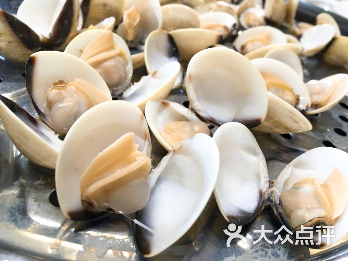 海食尚蒸汽海鲜蒸沙白图片 - 第85张