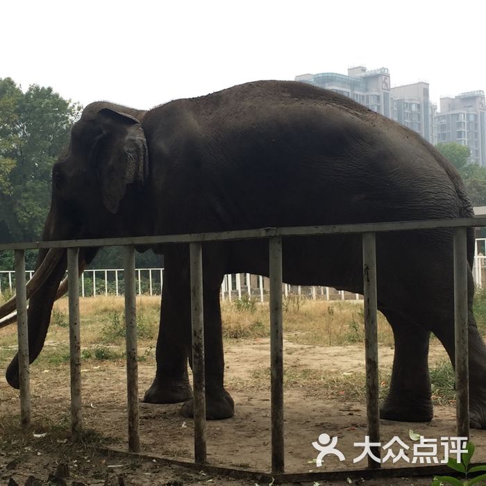 天津动物园