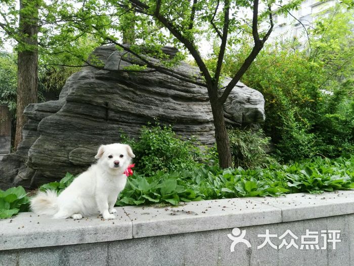 安贞社区街心公园图片 - 第30张