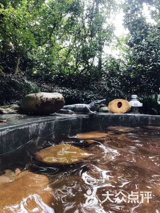 汤山紫清湖旅游区森林温泉-图片-南京周边游-大众点评网