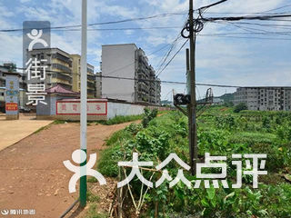 鹿寨雒容镇GDP_鹿寨县鹿寨镇辖区地图