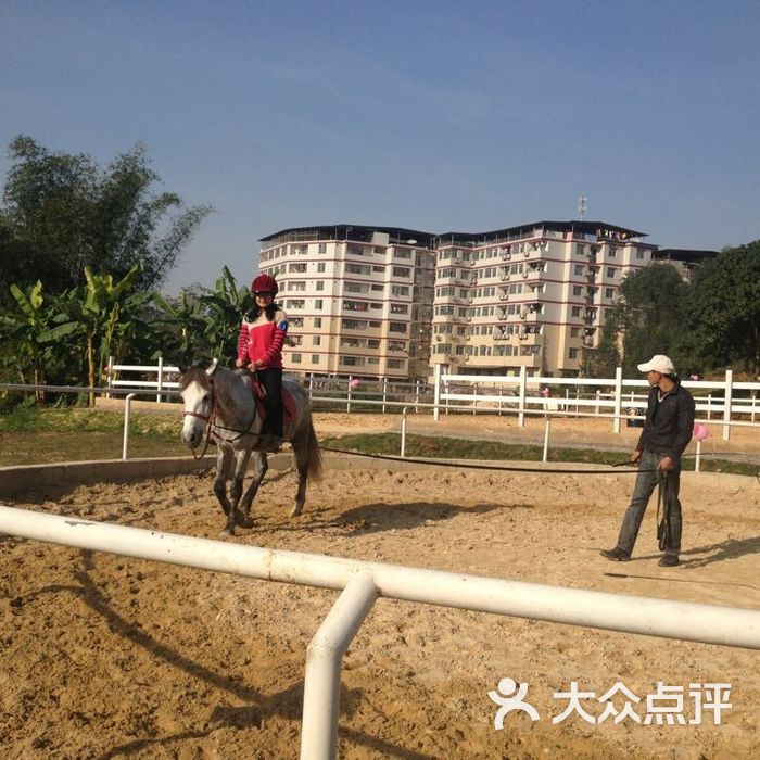 青山马术俱乐部