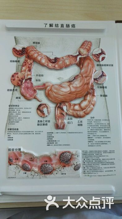 中山大学附属肿瘤医院-图片-广州医疗健康