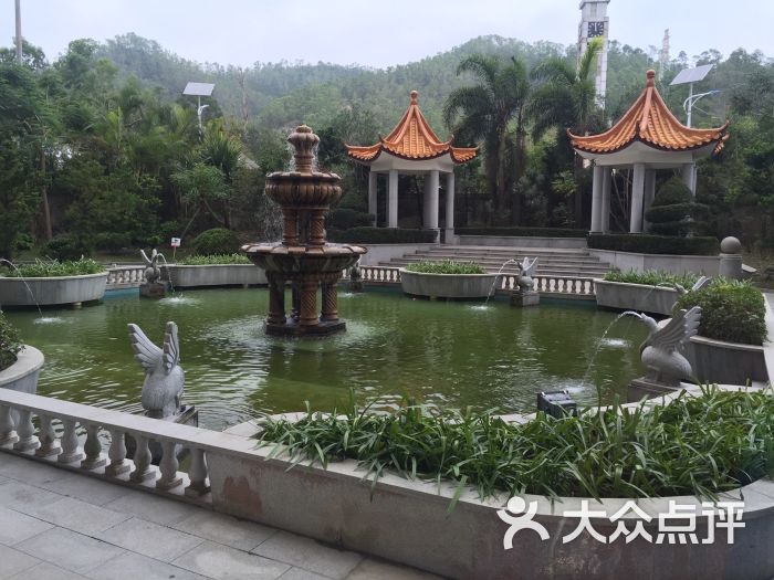 丽波度假村-图片-廉江市酒店