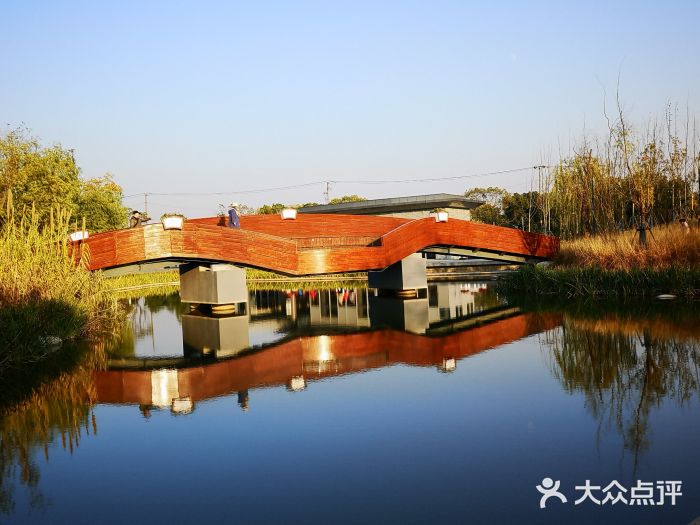 桃浦公园图片