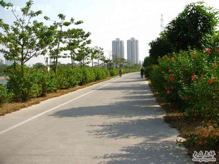 花地河绿道"可以从芳村大道西的入口沿着河边骑行,一直.