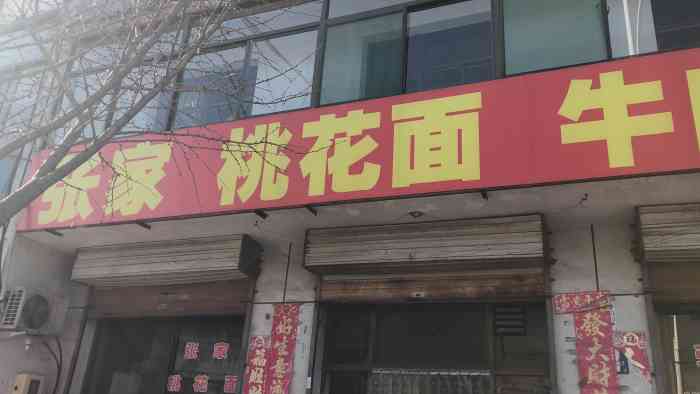 张家桃花面牛肉面-"味道还可以,环境太脏了,以后不会再去.