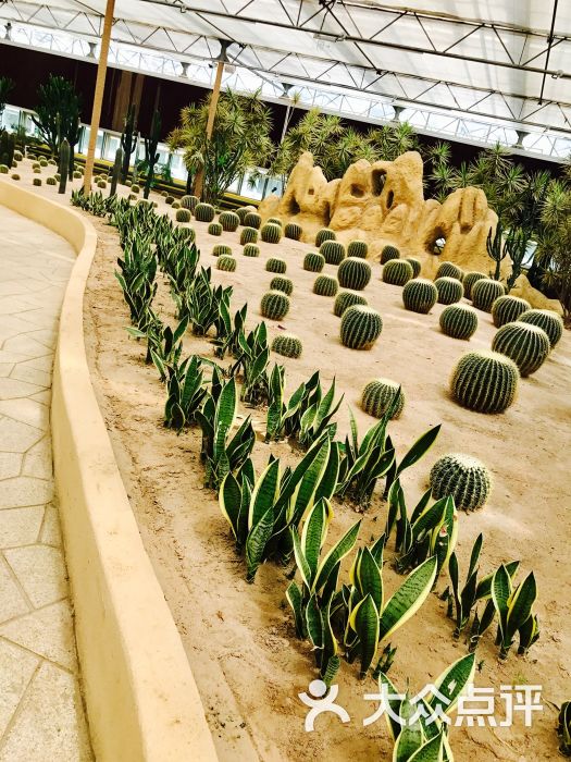 南宫五洲植物乐园-图片-北京周边游-大众点评网