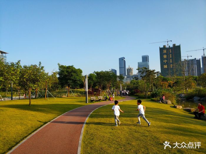 香蜜公园图片 第42张