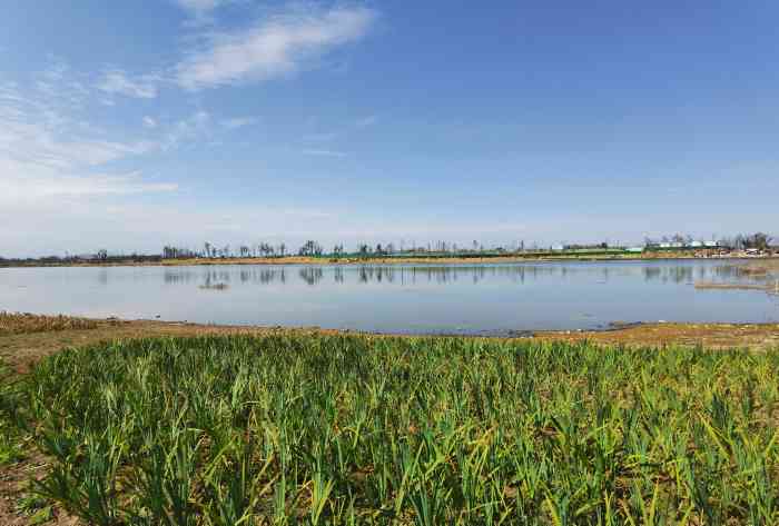 泉水湖湿地公园-"邛崃泉水湖湿地公园,地处成都的邛崃