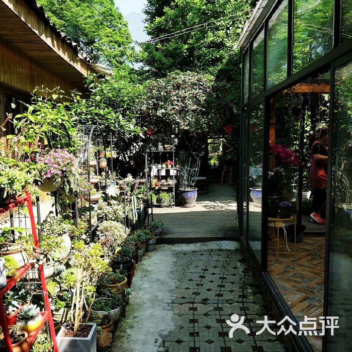 张家小院 shirley"s garden