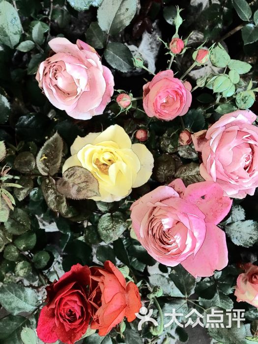 嘉善孙道临影城-图片-嘉善县电影-大众点评网