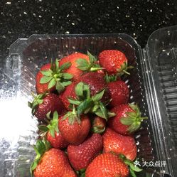 古港靓靓草莓园