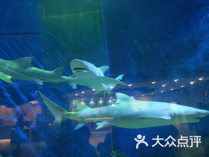 甜甜湾乐园海洋城图片 - 第1张