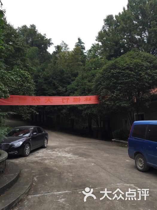 桂花森林公园--其他图片-崇阳县周边游-大众点评网