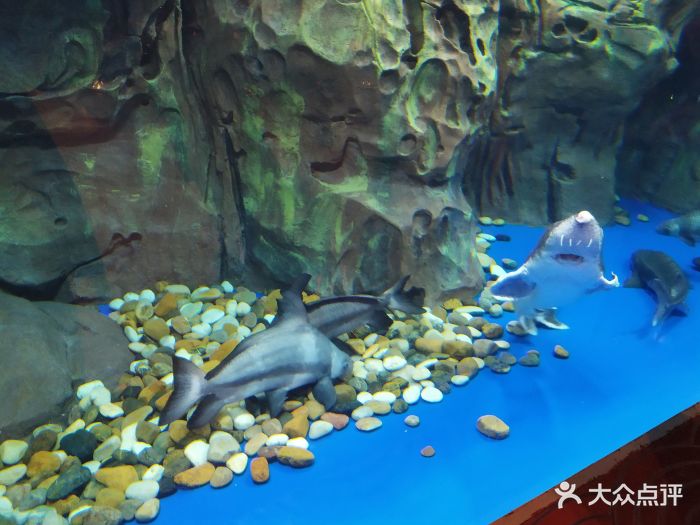 我跟肉包没在上海票务订票直接过去买的,12.