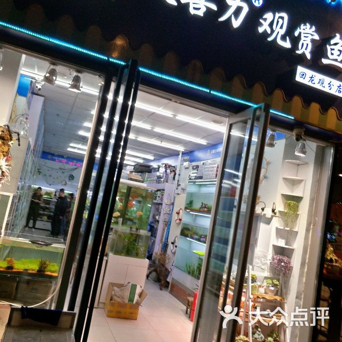艾喜力观赏鱼水族馆图片-北京宠物店-大众点评网