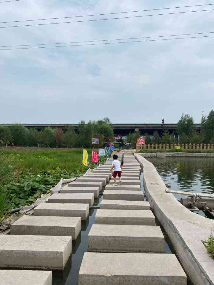 稻田公园-"地址:太原市晋源区晋祠镇花塔村 门票:.