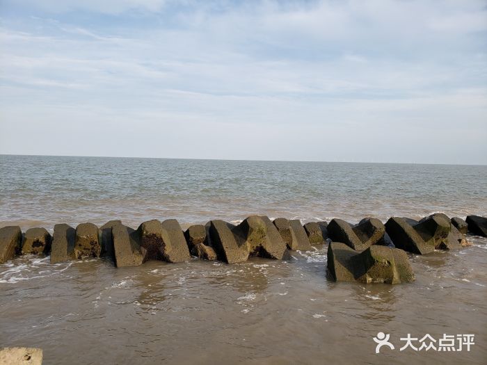 南汇嘴观海公园图片