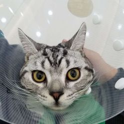 玲珑动物 0em4M7hSYpN_gtZaiA5K7lyCEV8inXfC2HPWgWjVvnItE_y1EsxihMqxH_vb7UNPF5u7J_jS4MuCaeLAHD0KTg.jpg