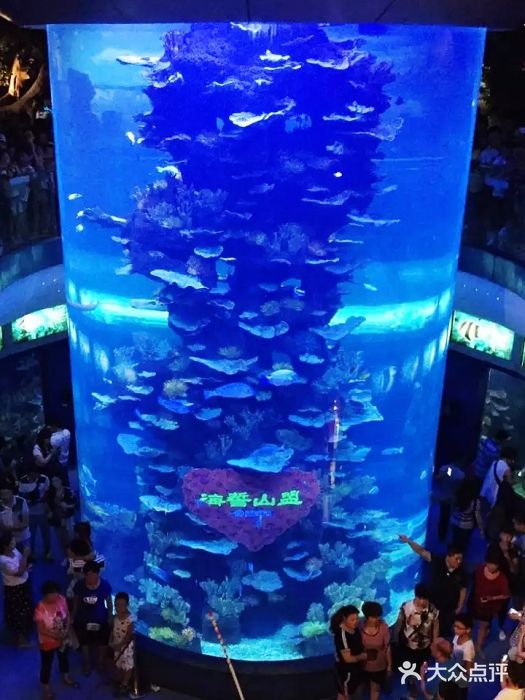 青岛海底世界图片